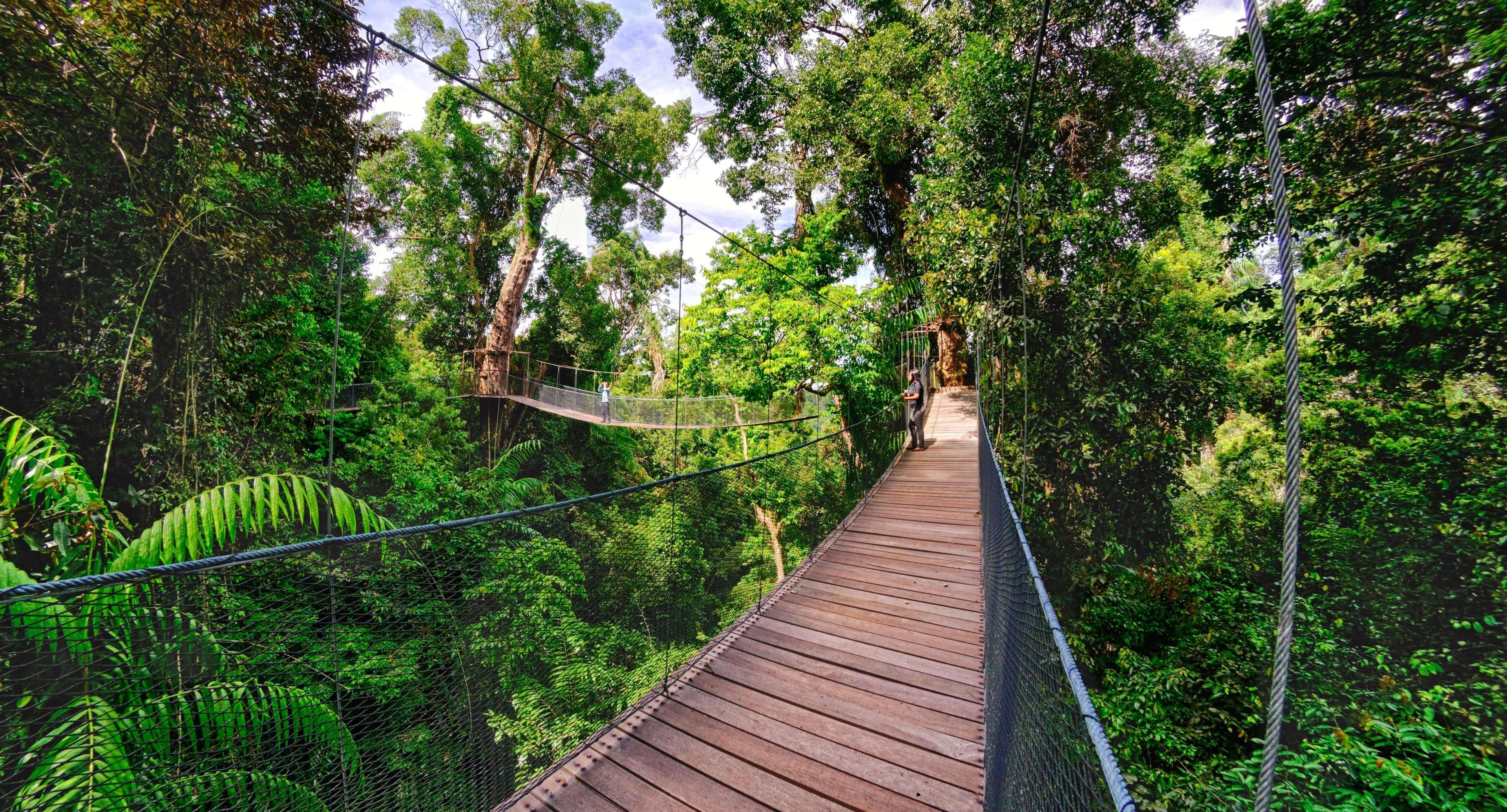 Bunga Raya Island Resort & Spa Пулау-Гайя Экстерьер фото